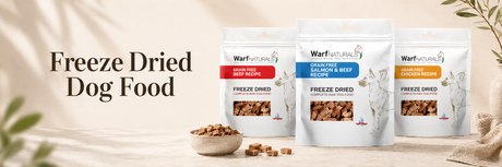 Dog Chews