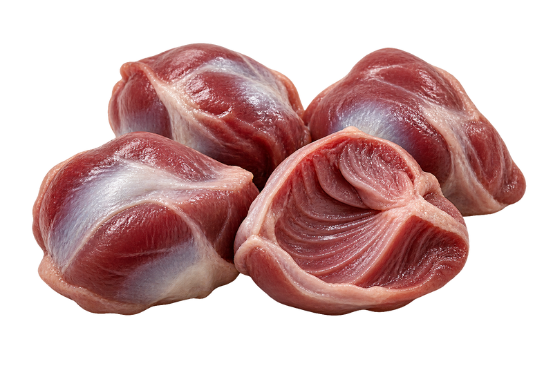 Chicken Gizzard