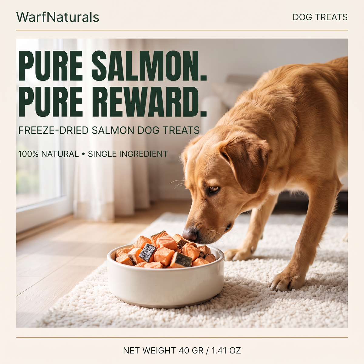 Freeze Dried Dog Treats - Salmon