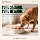 Freeze Dried Dog Treats - Salmon