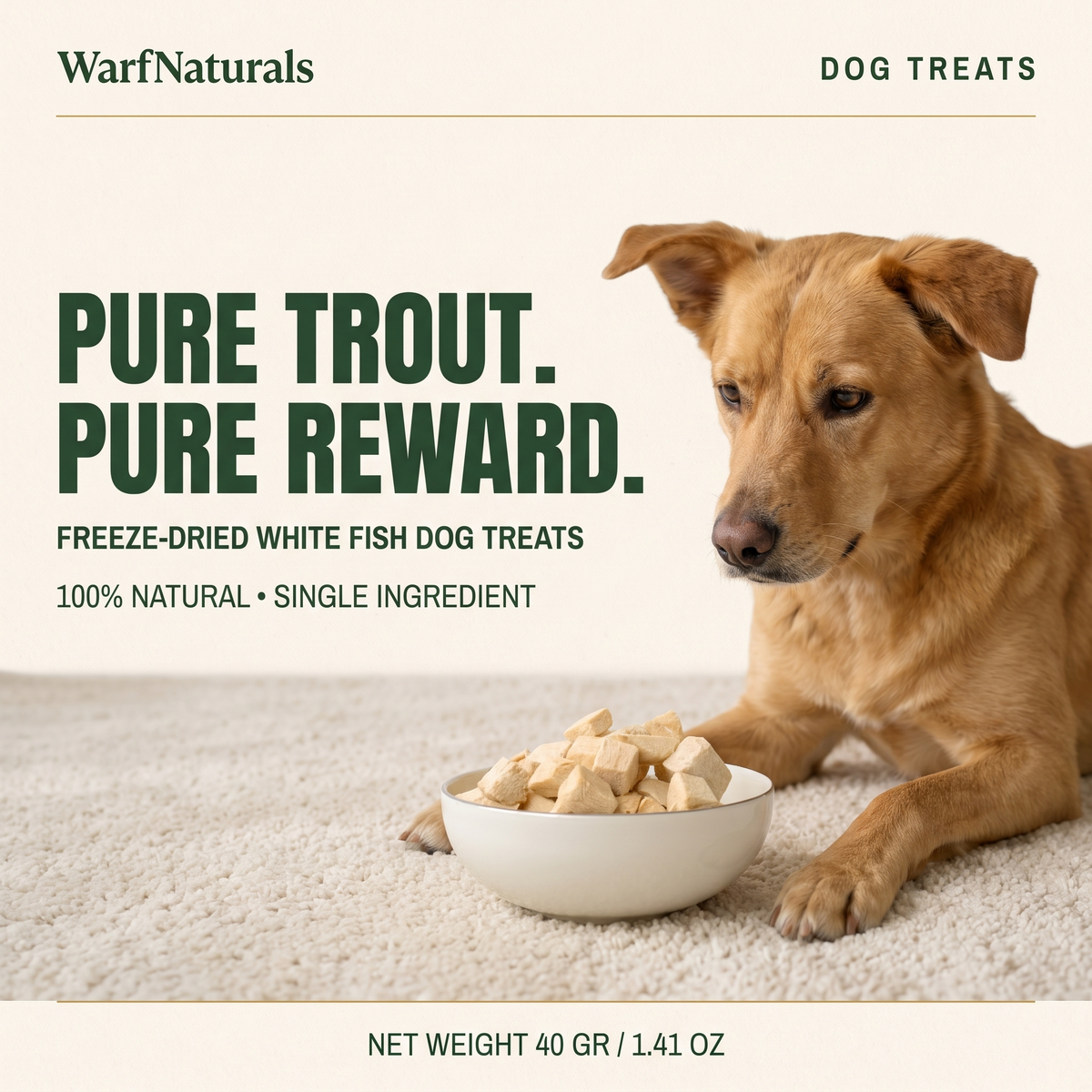 Freeze Dried Dog Treats - White Fish