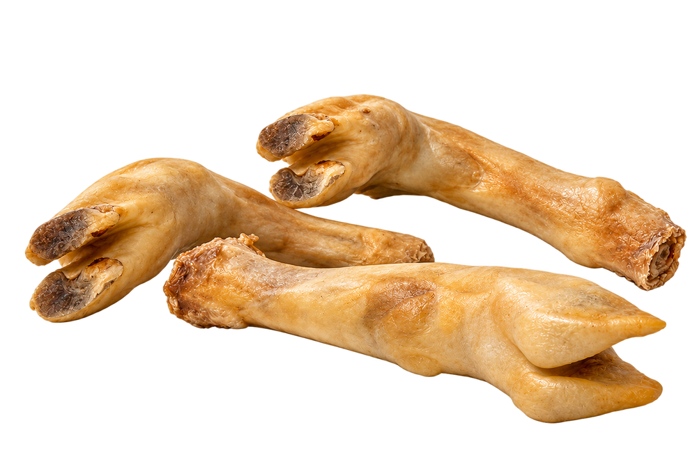 Lamb Trotter